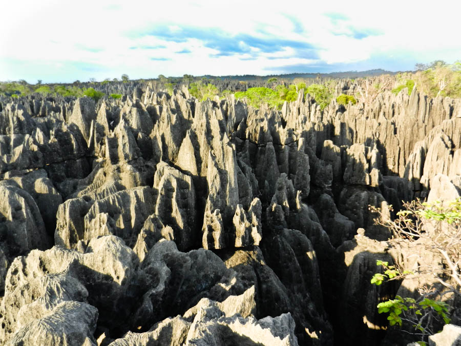 stone forest in madagascar, big tsingy stone forest