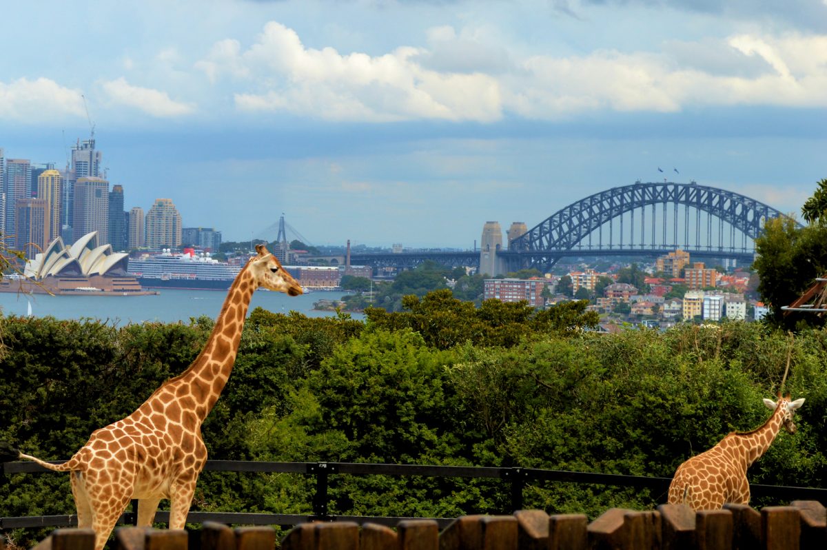 must-see-sights-in-sydney