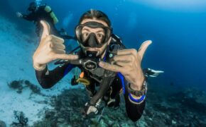 Scuba Diver